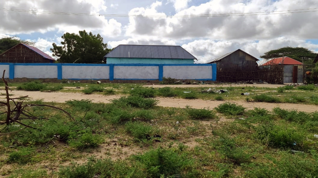 dhobley_vaccines.4.jpg dhobley_vaccines.4.jpg