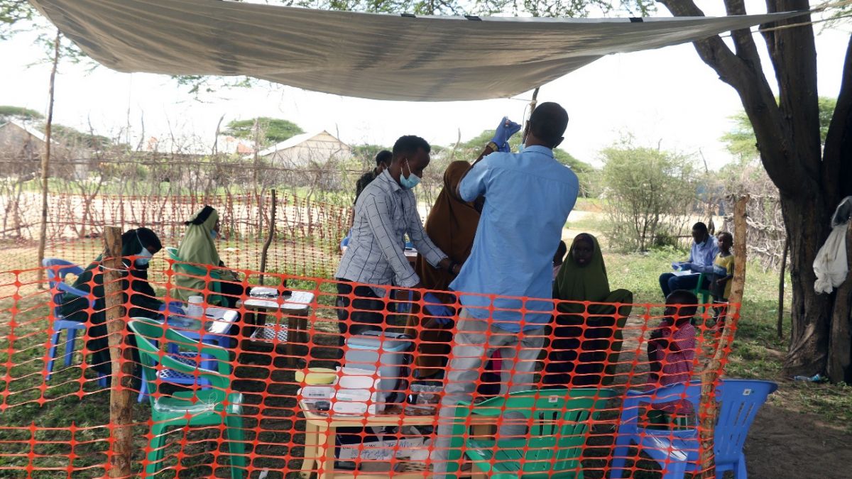 dhobley_vaccines_4.jpg dhobley_vaccines_4.jpg