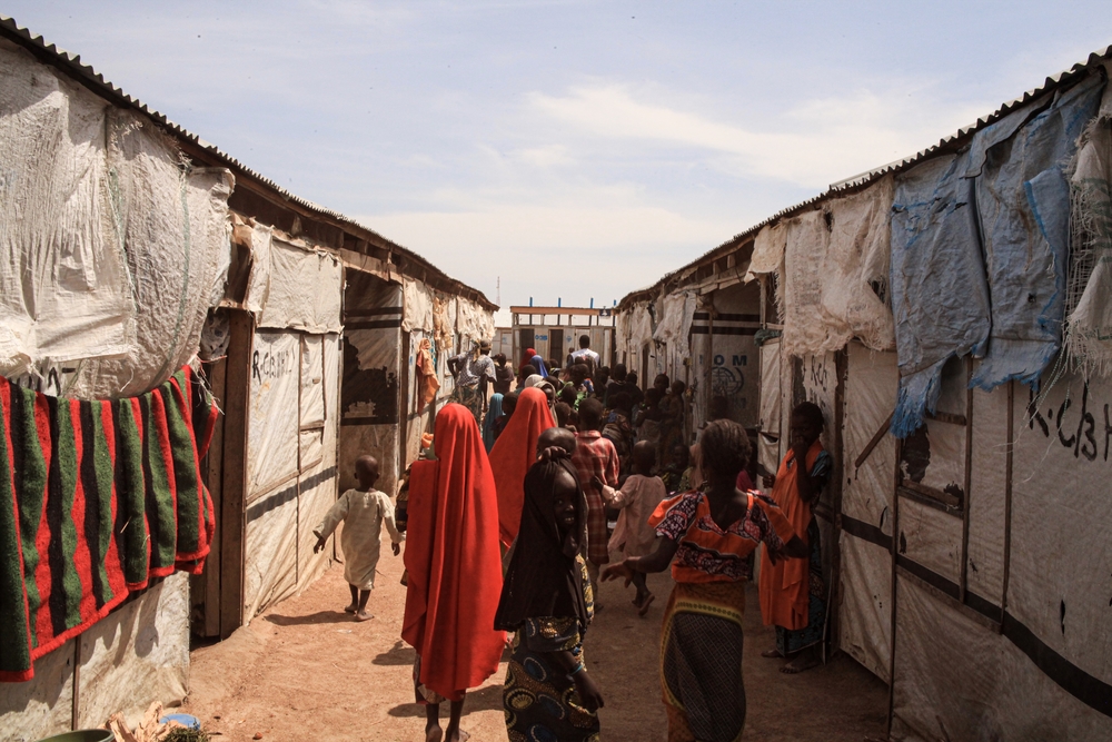 msf311299_medium.jpg The transit camp in Pulka, Borno State , Nigeria