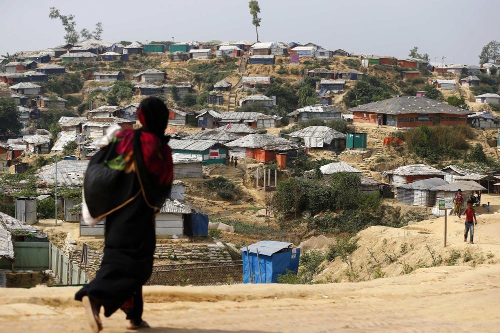 A woman carrying food for her family, Cox Bazar, Bangladesh [© Vincenzo Livieri]