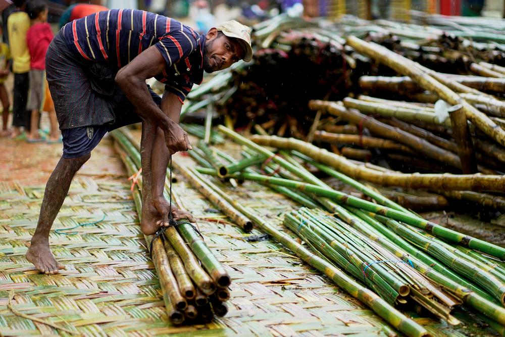A daily worker prepares bamboo materials for building and repairing shelters. Bangladesh, June 2025.