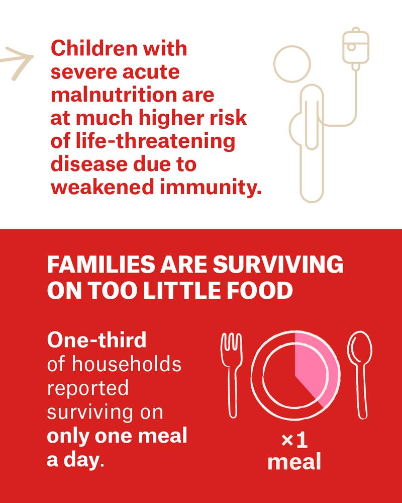 Families are surviving on too little food